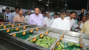 কৃষিপণ্য রপ্তানিতে চালু হচ্ছে ‘ওয়ান স্টপ সার্ভিস’: কৃষিমন্ত্রী