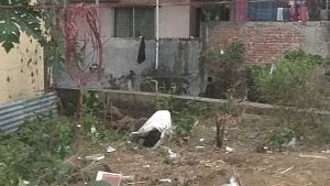 চট্টগ্রামে শিশু বর্ষা হত্যা মামলায় মায়ের সাক্ষ্যগ্রহণ