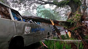 বৃষ্টিতে গাছ উপড়ে জগন্নাথ বিশ্ববিদ্যালয় বাসের ওপর, যাত্রী না থাকায় রক্ষা