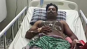 গোখরার ছোবলে হাসপাতালে ‘সাপুড়িয়া’, বললেন ‘ওঝার কেরামতিতে বিষ নামে না’