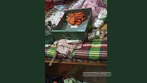 মাদারীপুরে বিচারক-ম্যাজিস্ট্রেট দম্পতির তালাবদ্ধ বাড়িতে চুরি