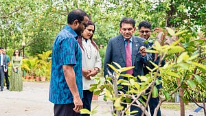 মালদ্বীপকে ২০ হাজার চারা গাছ উপহারের ঘোষণা পররাষ্ট্রমন্ত্রীর