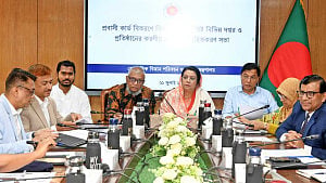 বিমানের টিকেট ও বলাকা লাউঞ্জে ছাড় মিলবে প্রবাসী কার্ডে: বিমানমন্ত্রী