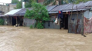 টানা বৃষ্টিতে মৌলভীবাজারে বাড়িঘরে পানি, যোগাযোগ ব্যাহত