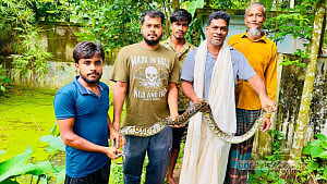 প্রয়াত বাবার পথ ধরে শ্রীমঙ্গলে অজগর উদ্ধার করলেন সজল