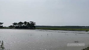 নিঝুম দ্বীপে জোয়ারের পানিতে ভেসে গেল শিশু