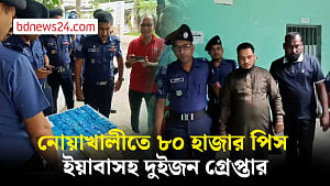 নোয়াখালীতে ৮০ হাজার পিস ইয়াবাসহ দুই মাদক কারবারি গ্রেপ্তার