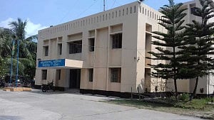 পটুয়াখালীতে ঘুমন্ত বৃদ্ধাকে শিল-পাটার আঘাতে হত্যা, ছেলে আটক