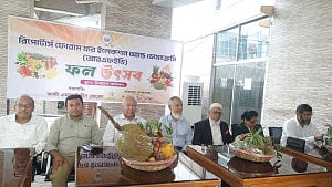 স্থানীয় সরকার নির্বাচন অক্টোবরে করার পরিকল্পনা ধরে ইসির প্রস্তুতি