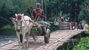 ‘সেতুটি এতটাই নড়বড়ে যে উঠতে ভয় লাগে’