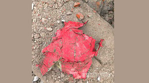 সাতক্ষীরায় থানা ভবন ভাঙার সময় বিকট শব্দে বোমার বিস্ফোরণ