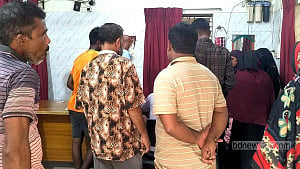 শেরপুরে এক দিনে এক কুকুরে কামড়াল ২৯ জনকে