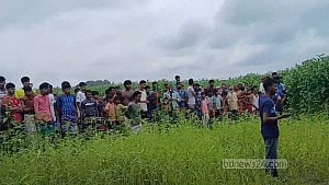 টাঙ্গাইলে নিখোঁজ ব্যক্তির লাশ মিলল পাটক্ষেতে