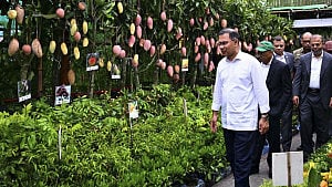 পরিবেশ ও বৃক্ষমেলার উদ্বোধন