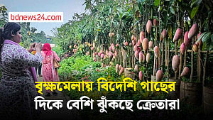 বৃক্ষমেলায় বিদেশি ফুল ও ফলগাছের ভিড়ে কোণঠাসা দেশি প্রজাতি
