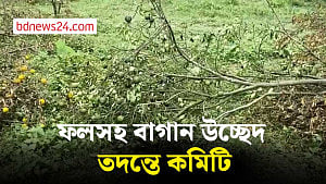 মৌলভীবাজারে চাঁদা না পেয়ে ৬০০ গাছ কাটার অভিযোগ বনবিভাগের দুই কর্মকর্তার বিরুদ্ধে