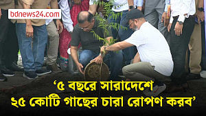 জলবায়ু পরিবর্তনের প্রভাব কমাতে বৃক্ষরোপণে গুরুত্ব প্রধানমন্ত্রীর