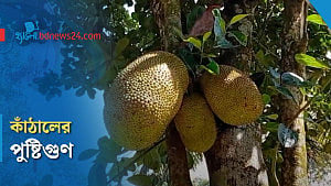 কাঁঠালে আছে যত পুষ্টি
