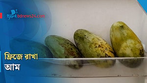ফ্রিজে রাখলে কি আমের পুষ্টিগুণ কমে যায়?