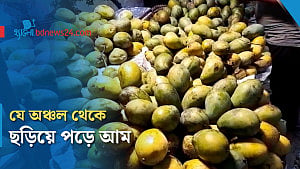 আমের আদি জন্মভূমি কোথায়?