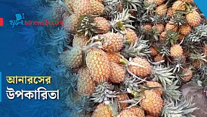আনারসে মেলে যেসব পুষ্টি