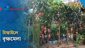 টাঙ্গাইলে বৃক্ষরোপণ অভিযান ও বৃক্ষমেলা