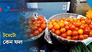 টমেটো ফল নাকি সবজি?