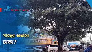 ঢাকায় কি যথেষ্ট গাছ আছে?