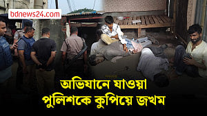 সাংহাই ডিজনিল্যান্ডের ১০ বছর, দর্শনার্থী ছাড়াল ১০ কোটির মাইলফলক