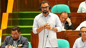 সংসদের ভোটাভুটিতে ‘টেকনোক্র্যাট’ আমিনুল, থামালেন স্পিকার