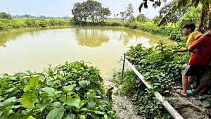 ঈদে নানাবাড়ি বেড়াতে এসে পুকুরে ডুবে ২ ভাইয়ের মৃত্যু
