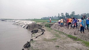 বগুড়ায় যমুনায় ভাঙন, তীররক্ষা বাঁধের ১৫০ মিটার নদীতে বিলীন