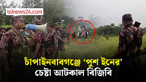 চাঁপাইনবাবগঞ্জে ২০ জনকে ‘পুশ ইনের’ চেষ্টা ঠেকাল বিজিবি