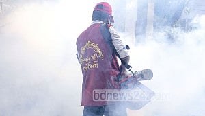 ডেঙ্গু প্রতিরোধে জাতীয় কমিটি পুনর্গঠন