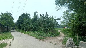 চুয়াডাঙ্গা সীমান্তে ১১ জনকে ‘পুশ ইনের’ চেষ্টা, বিজিবির বাধায় সরিয়ে নিল বিএসএফ