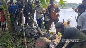 Crocodile removed from Khan Jahan Ali shrine pond