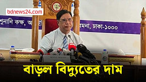 খুচরায় বিদ্যুতের দাম বাড়ল ১৬.৭ শতাংশ
