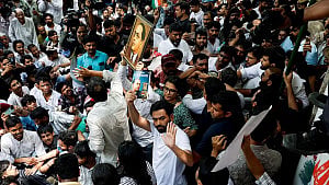 ভারতে তেলাপোকা পার্টি এখন ‘রিয়েল’