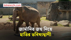 আইভরি কোস্টের বিপক্ষে জার্মানির জয় দেখছে ‘ভবিষ্যৎদ্রষ্টা’ হাতি তারাক