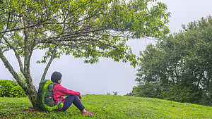 সবুজেই মিলতে পারে মনের শান্তি