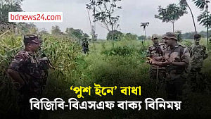 পতাকা বৈঠক ছাড়া কাউকে নেওয়া হবে না, বিএসএফকে বিজিবি