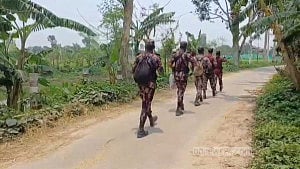 BSF halts Joypurhat border fencing after BGB objection