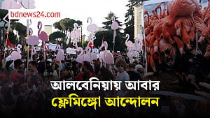 আলবেনিয়ায় আবার ফ্লেমিঙ্গো আন্দোলন