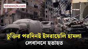 শান্তি চুক্তির পরও লেবাননে ইসরায়েলি ড্রোন হামলা, নিহত ১