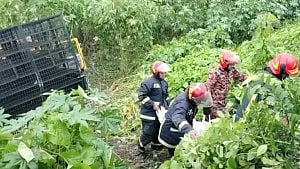 মানিকগঞ্জে ট্রাকের সঙ্গে সংঘর্ষে পিকআপ চালক ও সহকারী নিহত