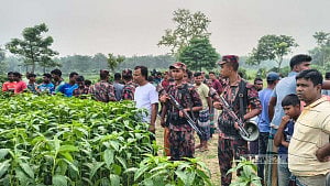 ঠেলে পাঠানোর চেষ্টা ব্যর্থ: মেহেরপুর সীমান্তে ৬ জনকে ফিরিয়ে নিল বিএসএফ