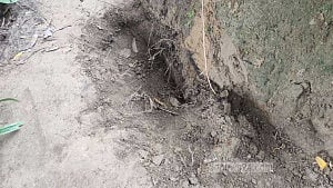 মুক্তাগাছায় ৮ মাসের সন্তানকে ‘জীবিত কবরের চেষ্টা’! মায়ের দাবি ‘রাগের মাথায়’