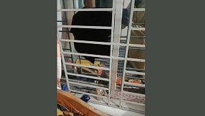 হাতিয়ায় ছাত্রদল নেতার বাড়িতে ভাঙচুর, অভিযোগ এনসিপি কর্মীদের বিরুদ্ধে