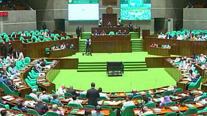 আগে ছিল গোপালগঞ্জ, এখন কী বলব ‘সবার আগে বগুড়া’: সংসদে এনসিপি সদস্য