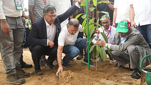 সব মাধ্যমিকে বৃক্ষরোপণ কর্মসূচি, উদ্বোধন করবেন প্রধানমন্ত্রী
